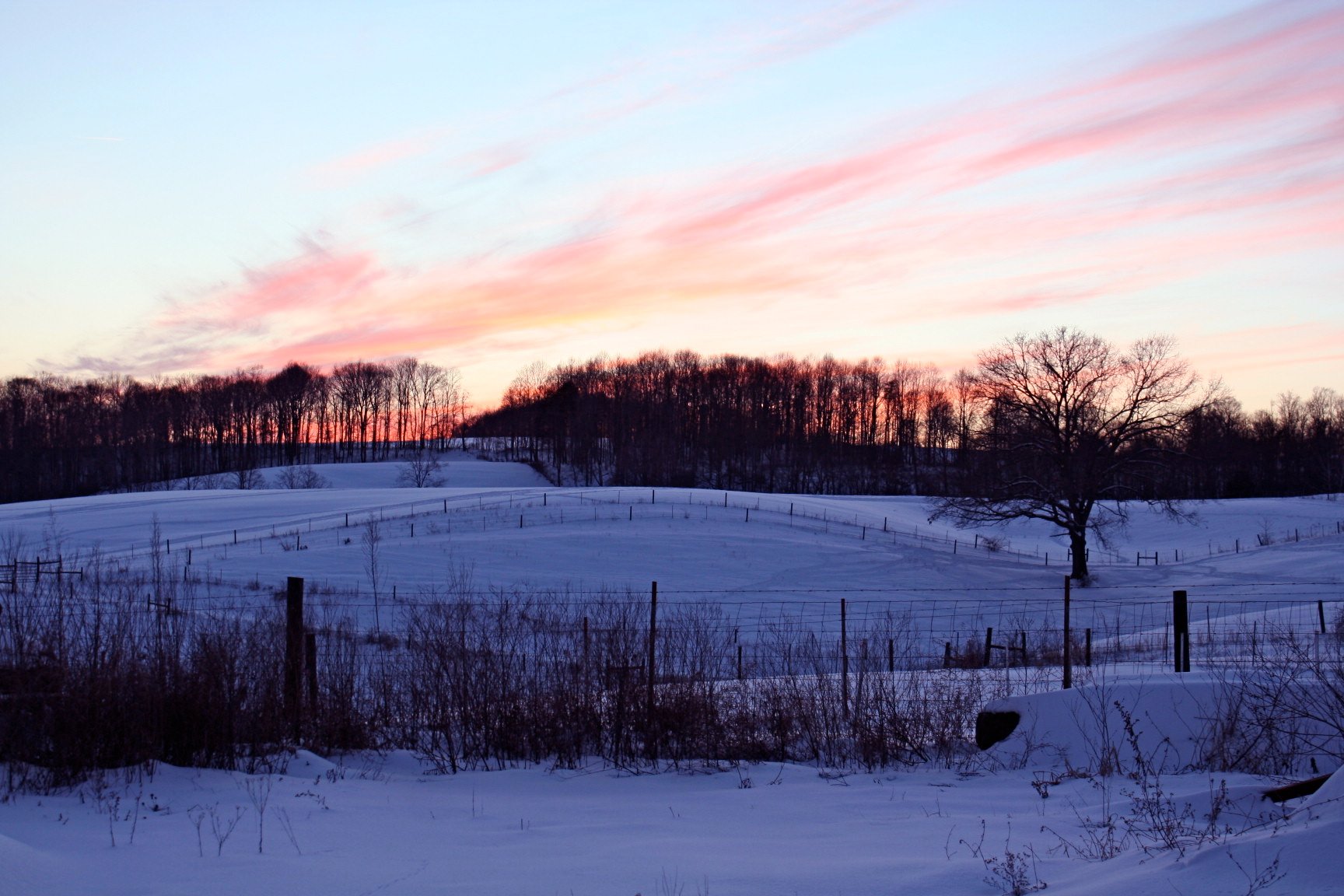 31630287076_def0e35f84_o