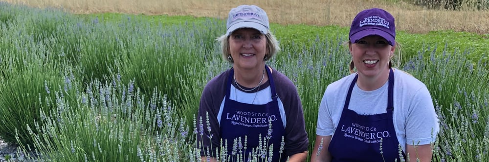 Banner The Woodstock Lavender Co