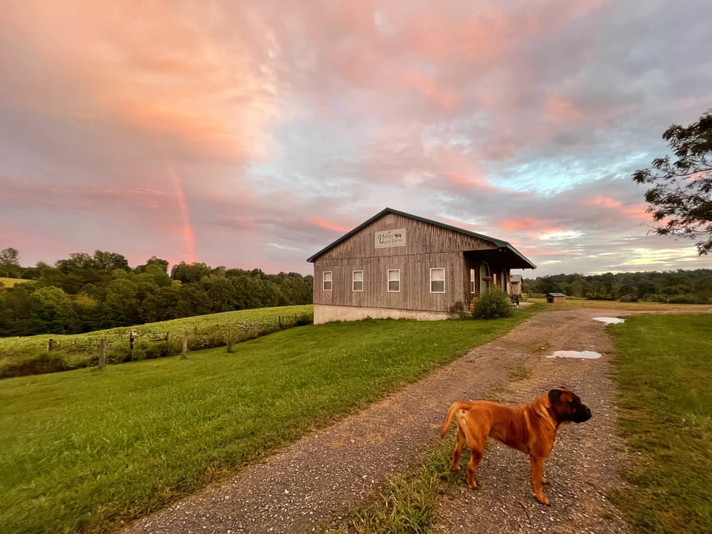 BarnRainbow_Pond