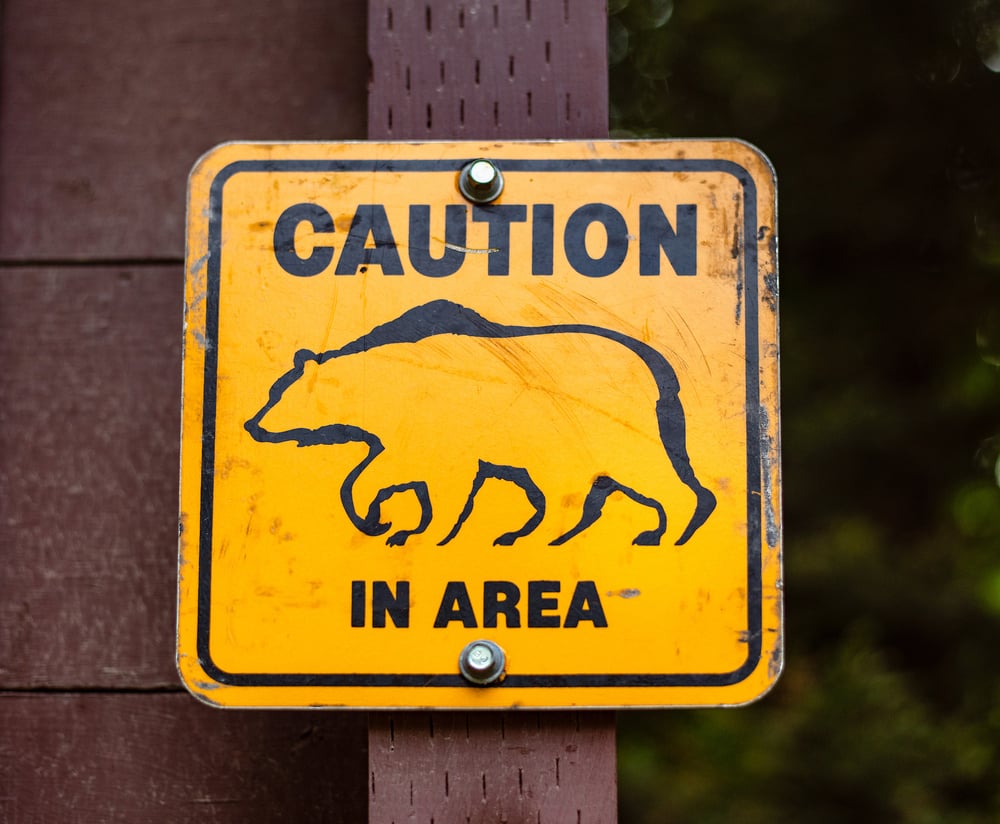 BearCautionSign