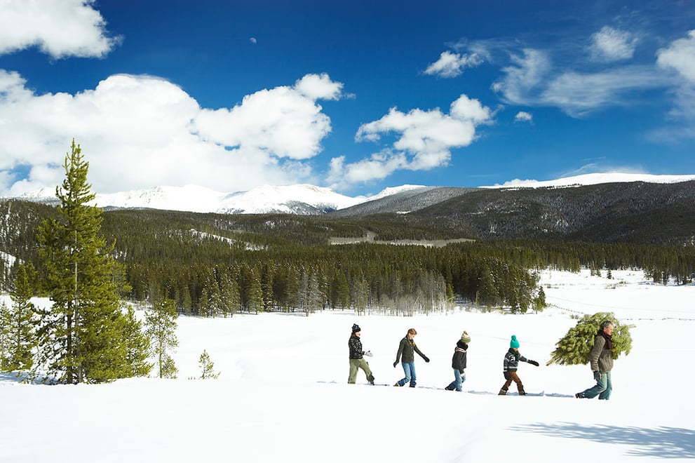 people-walking-through-snow.jpg
