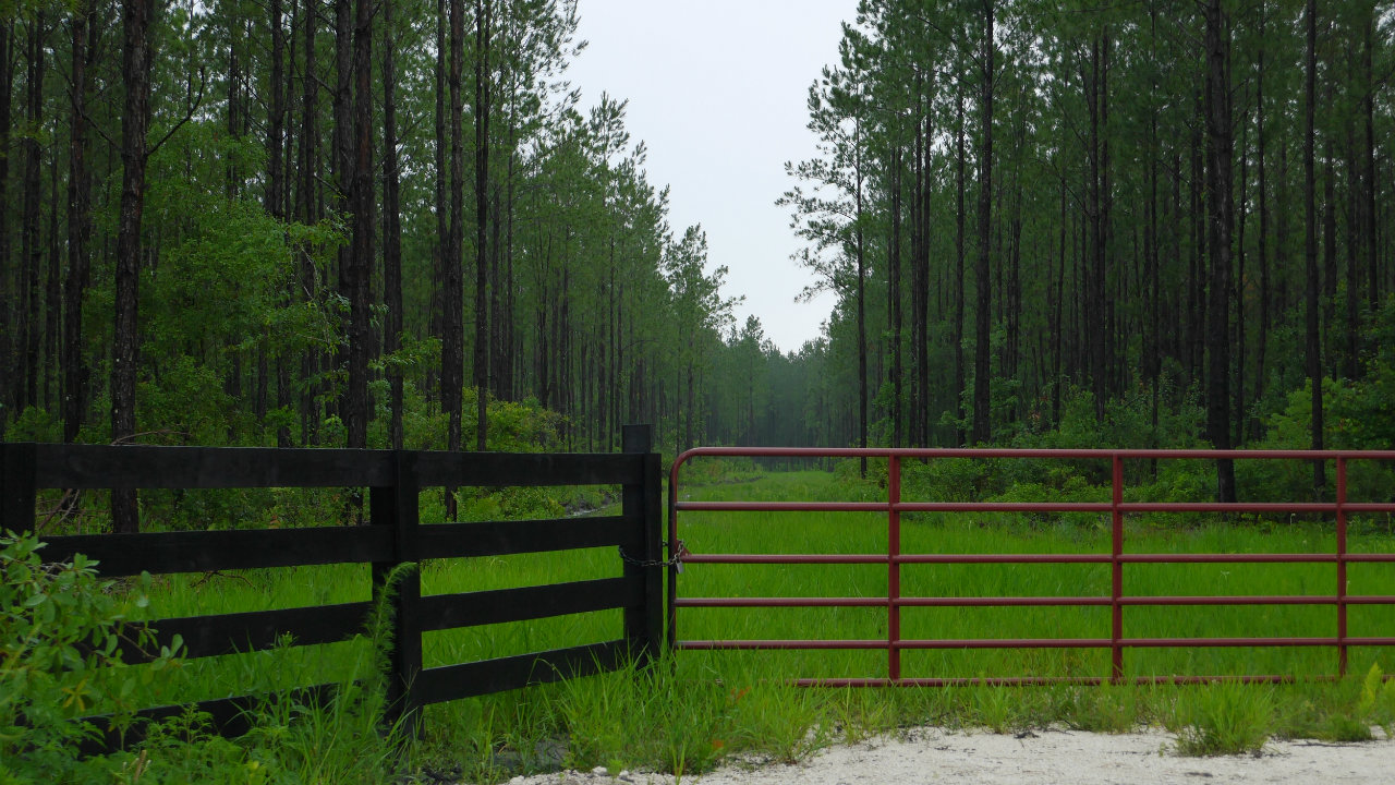 Buying Rural Land