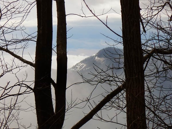 view of mountains through winter trees