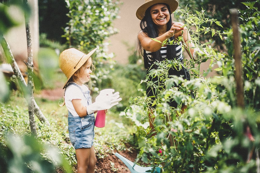 Gardening impacts health