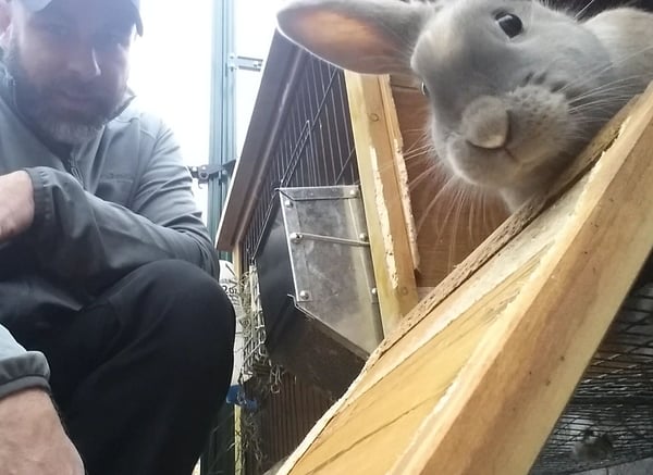 Harold hanging out with a rabbit