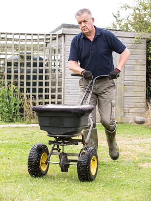 man seeding grass on lawn