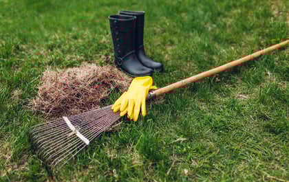 Yard_02