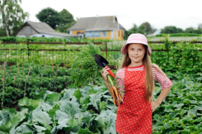 small hobby farm