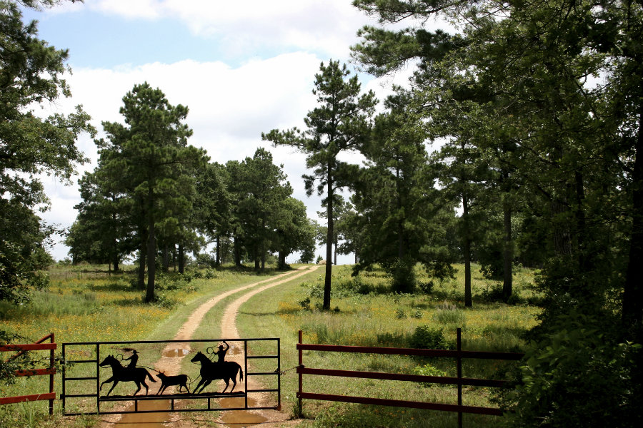 How to buy Texas land