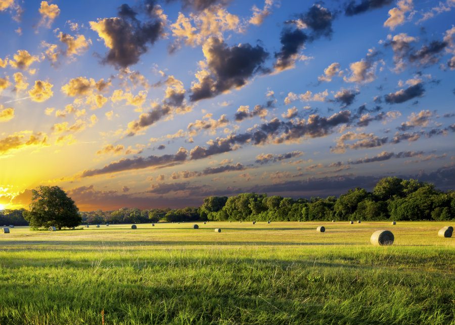 Buy Land in Texas