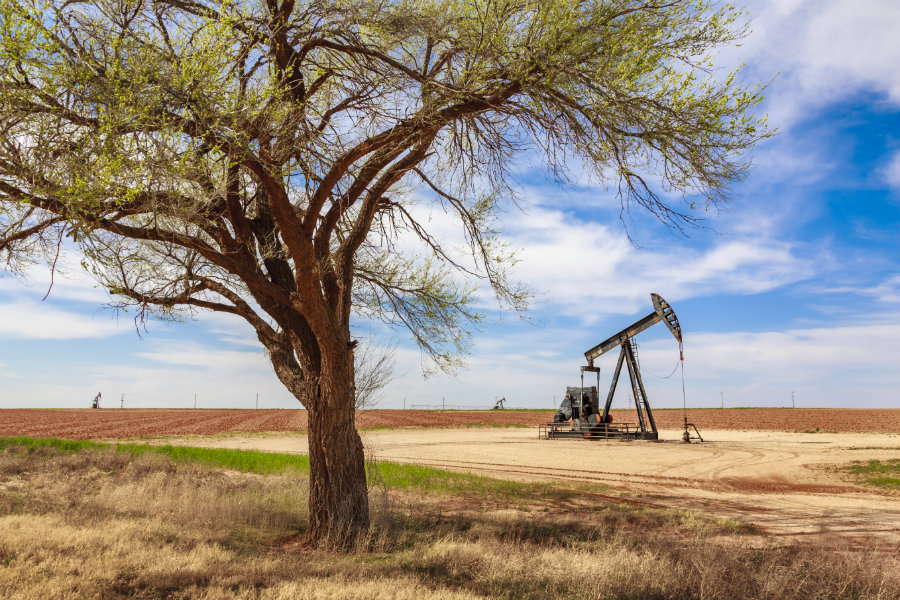 Learn how to buy land in Texas