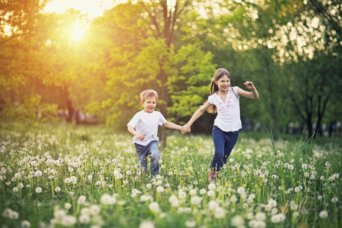 Country_Kids_in_Wildflower_Field_1.jpg