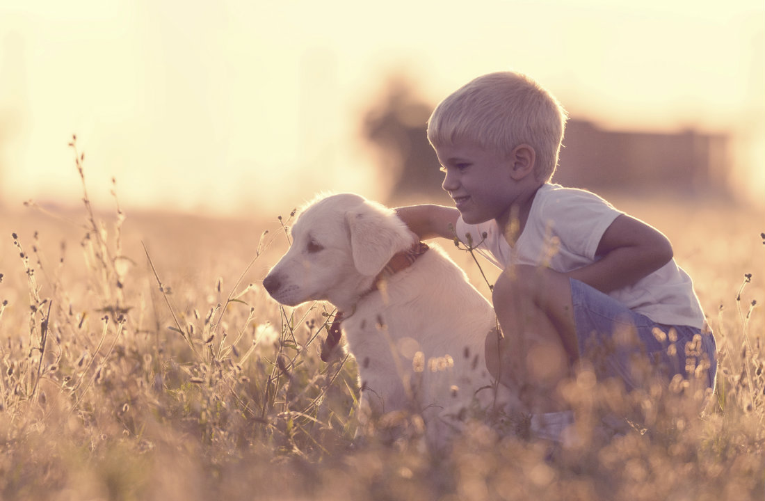 Country_Life_Boy_With_Dog.jpg