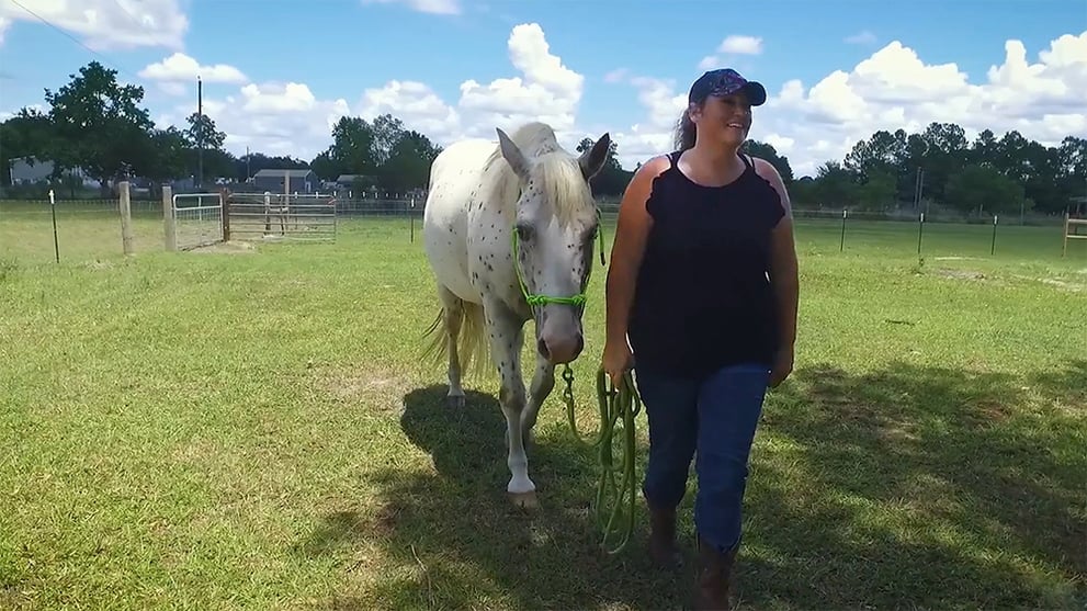 Nicole Monds Walking Horse.jpg