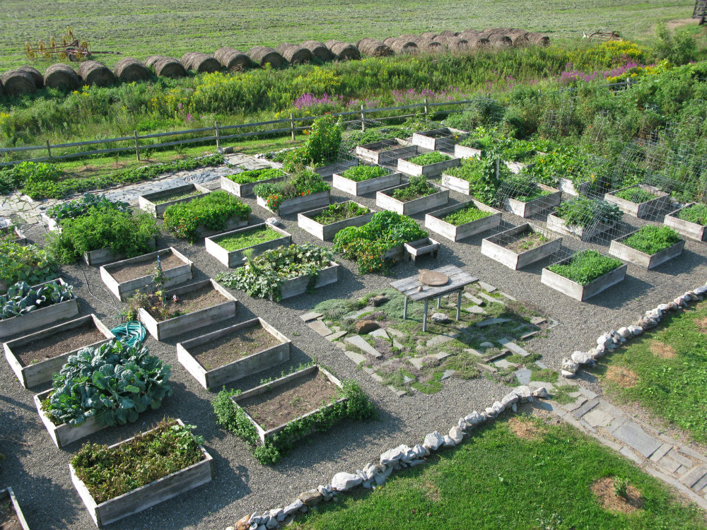 1_Beekman_Boys_Garden_Beds.jpg