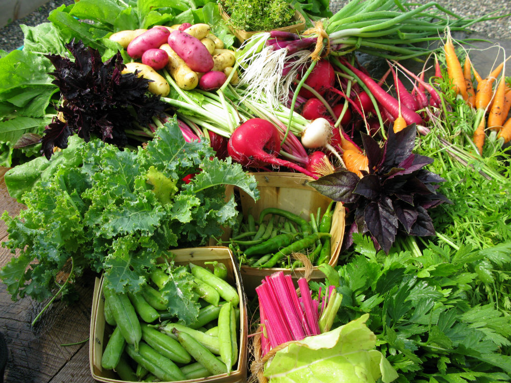 1_Beekman_Boys_produce.jpg