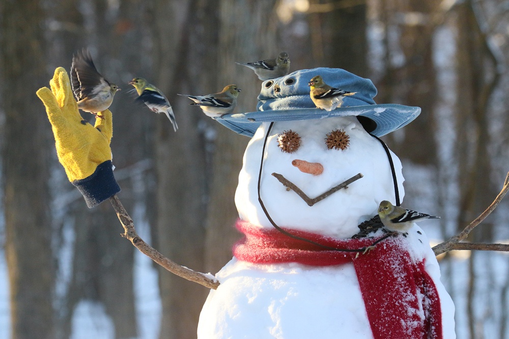 Build a real snowman in the country.jpg