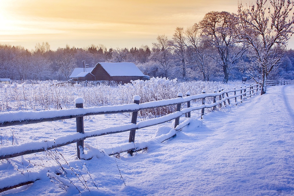 Snowy Christmas in the Country.jpg