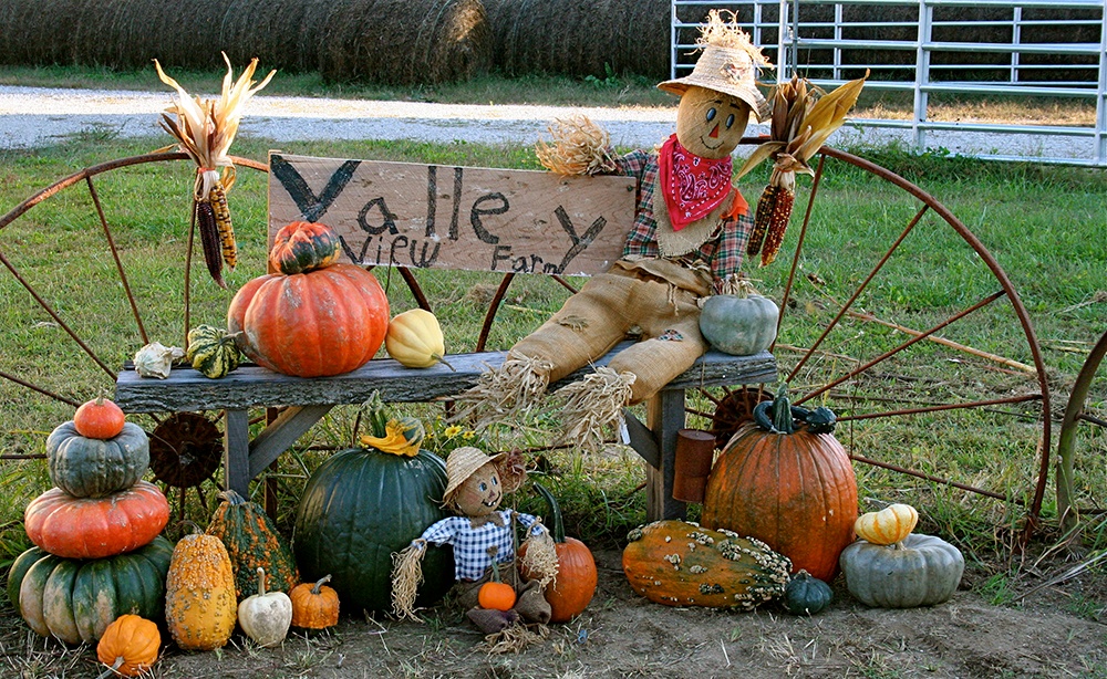 Heirloom_Pumpkin_and_Gourd_Display.jpg