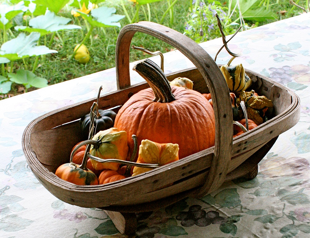 New_England_Pie_Heirloom_Pumpkin.jpg