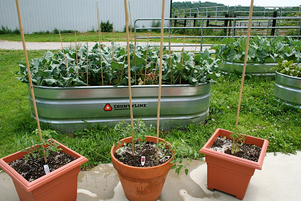 Spring Garden Containers.jpg