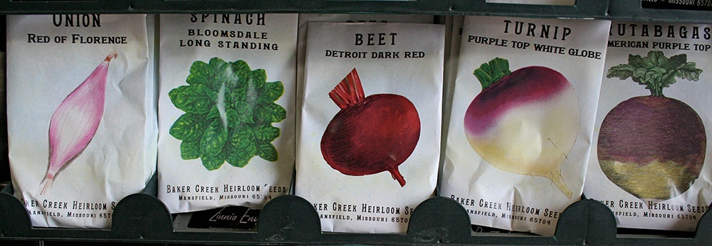 Spring Garden Seed Packets.jpg