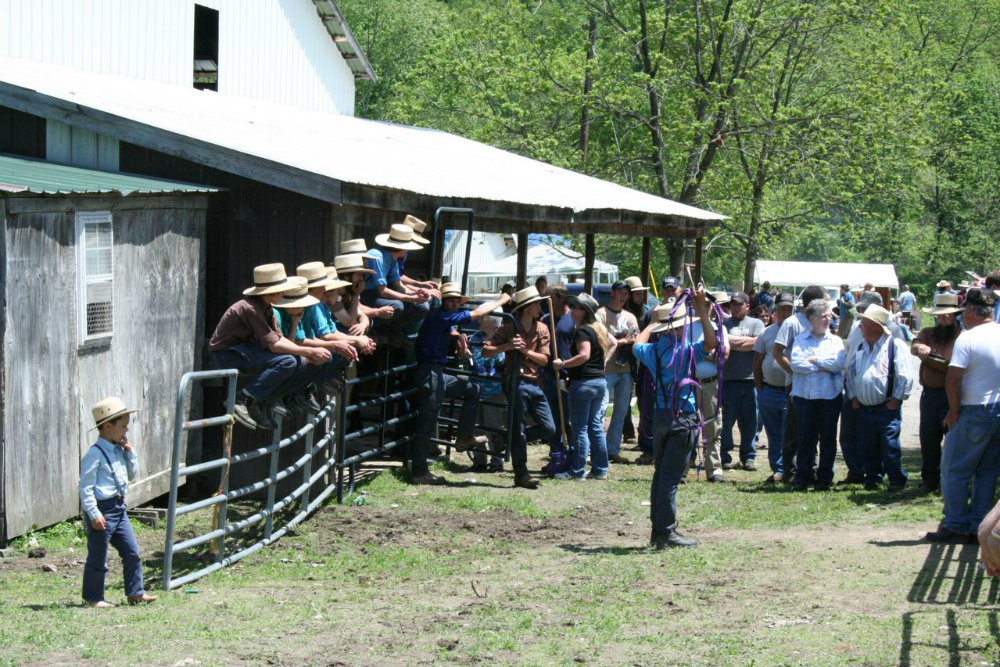 Mennonite Fair in Kentucky.jpg