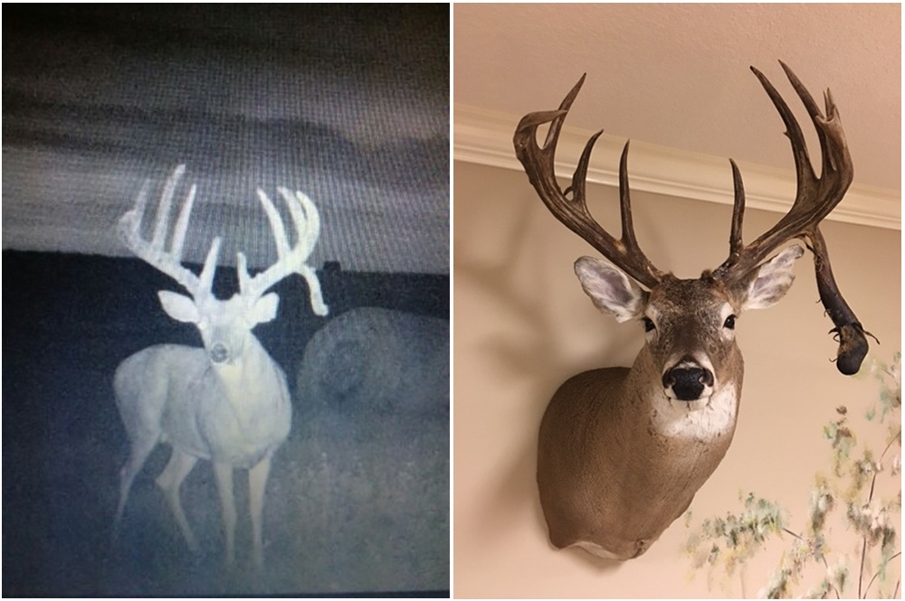 Simmons Deer Management Benefits.jpg