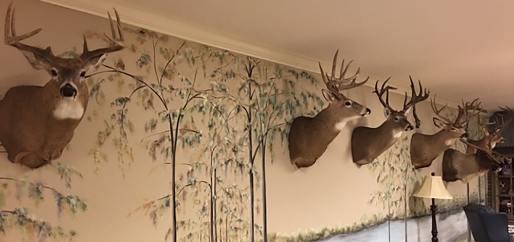 Simmons Hunting Trophy Room.jpg