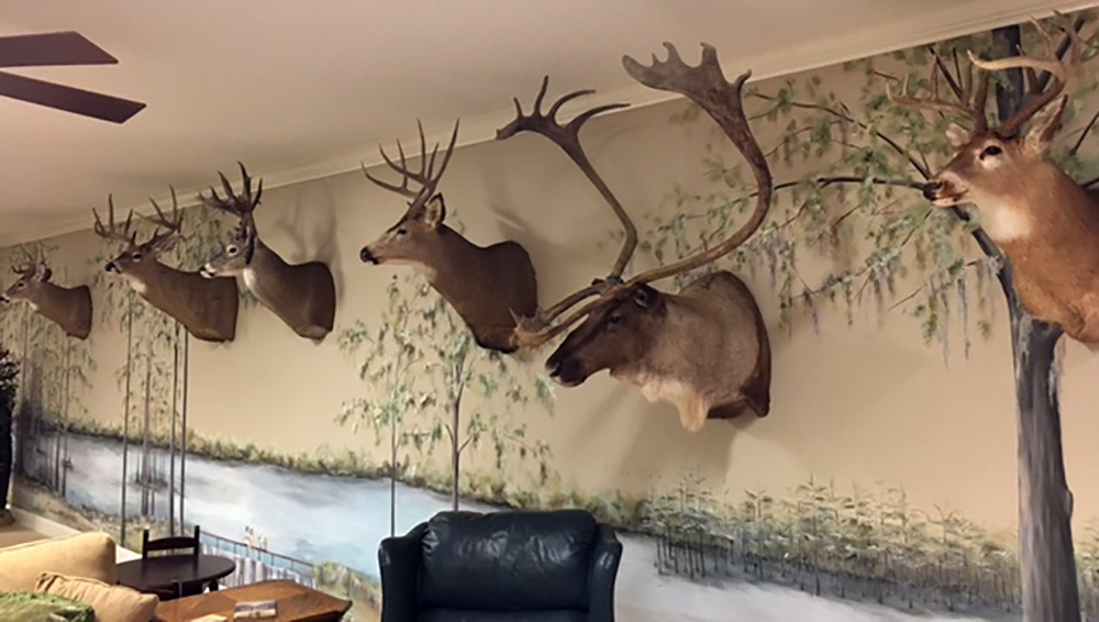 Steve Simmons Hunting Trophy Wall 2.jpg
