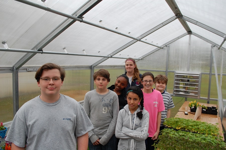 900_Greenhouse2.jpg