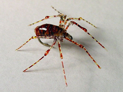 Fly-Tie-spitting-spider-400.jpg
