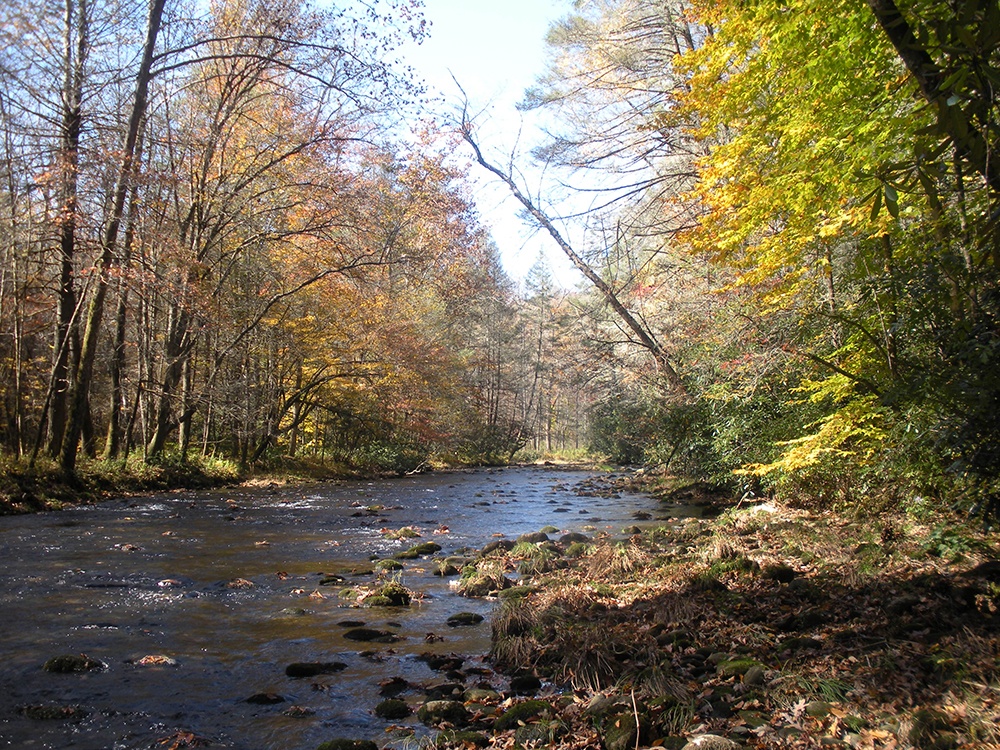 Fishing_Spot_Photography.jpg