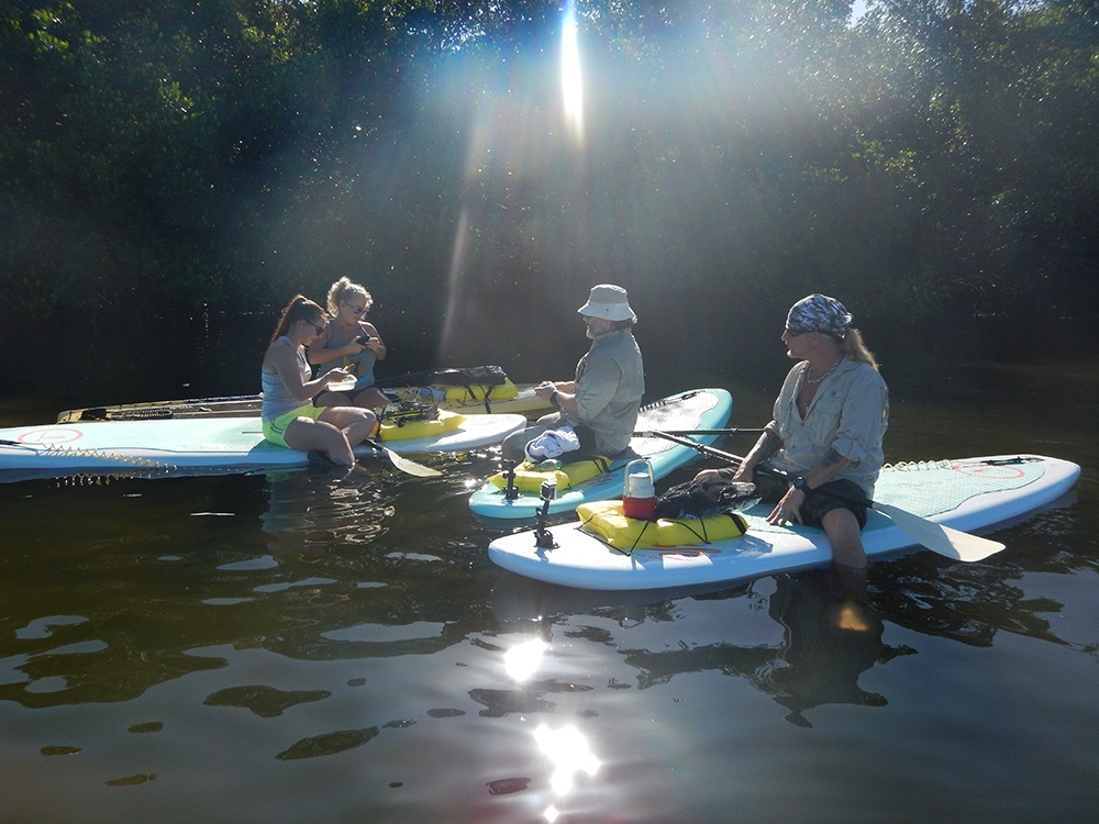 Stand Up Paddleboard 2.jpg