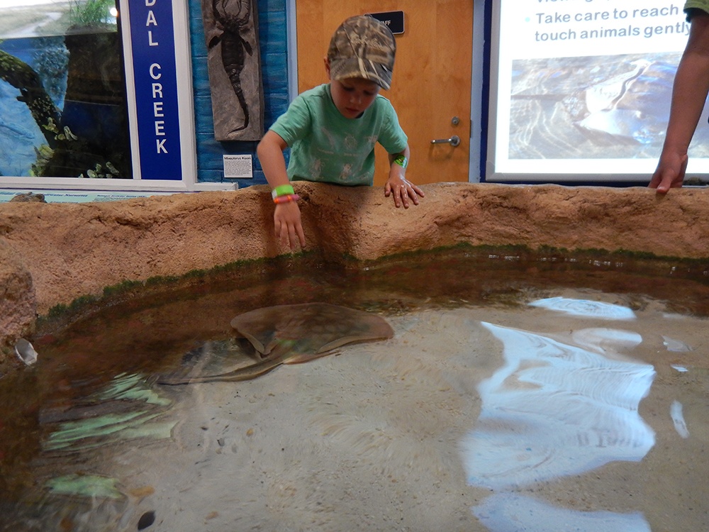 Roper Mountain Science Center Kids View Nature.jpg