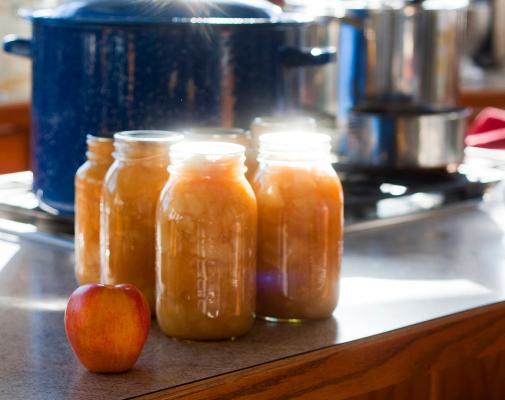 make fruit purees to preserve produce.jpg