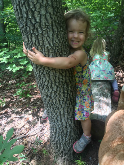 Kids_in_trees_at_Nature_Farm_School.jpg