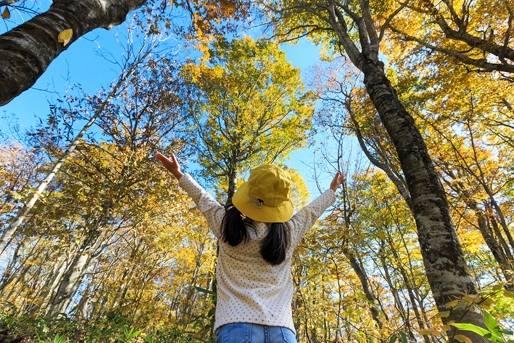 living_near_trees_makes_us_healthier.jpg