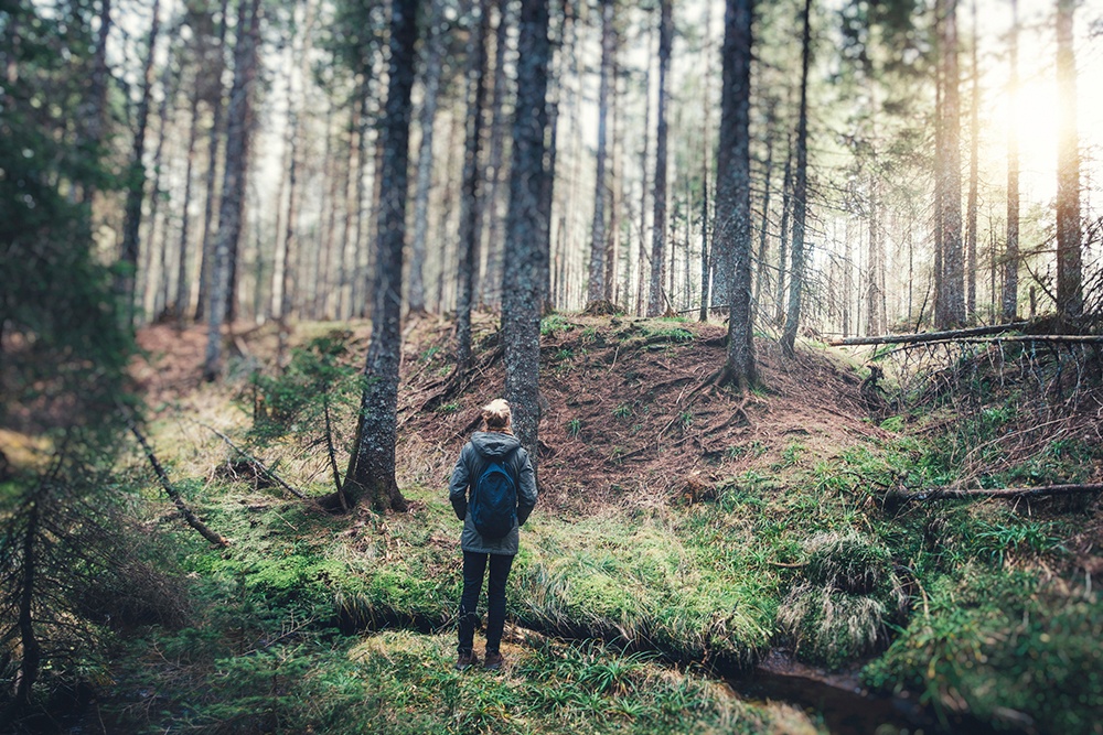 trees_making_us_healthier.jpg