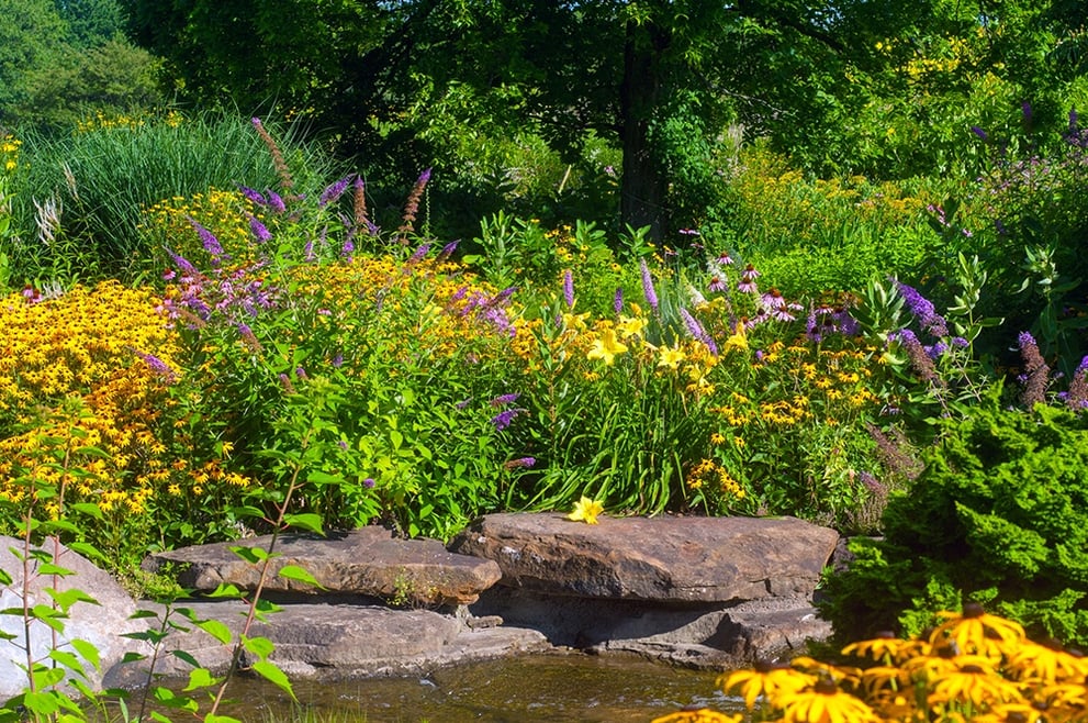 Butterfly Garden Design.jpg