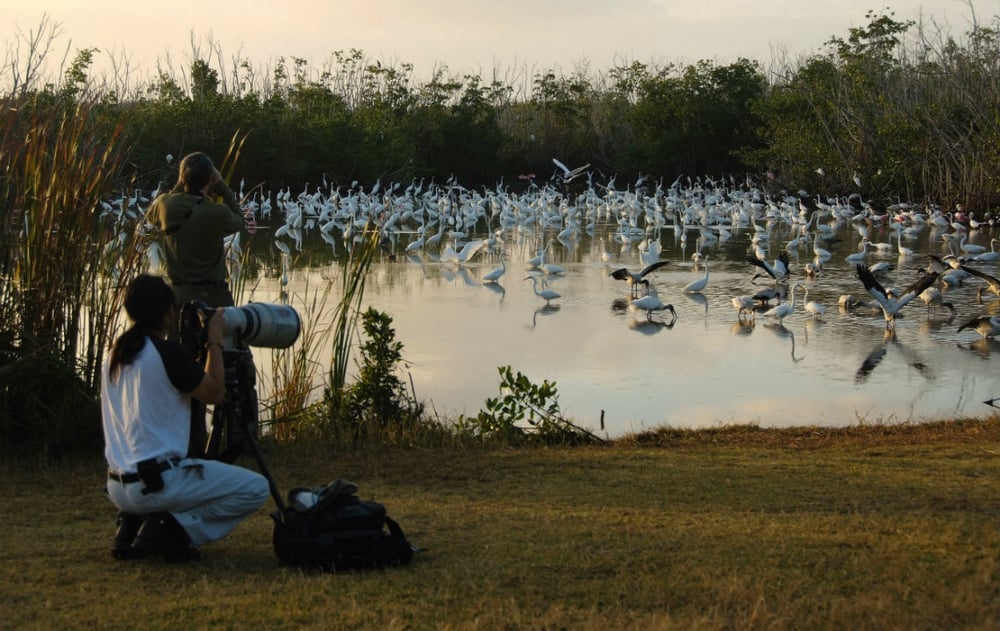 Bird_watching_at_Mrazek_Pond