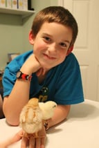 Chickens-and-Children.jpg
