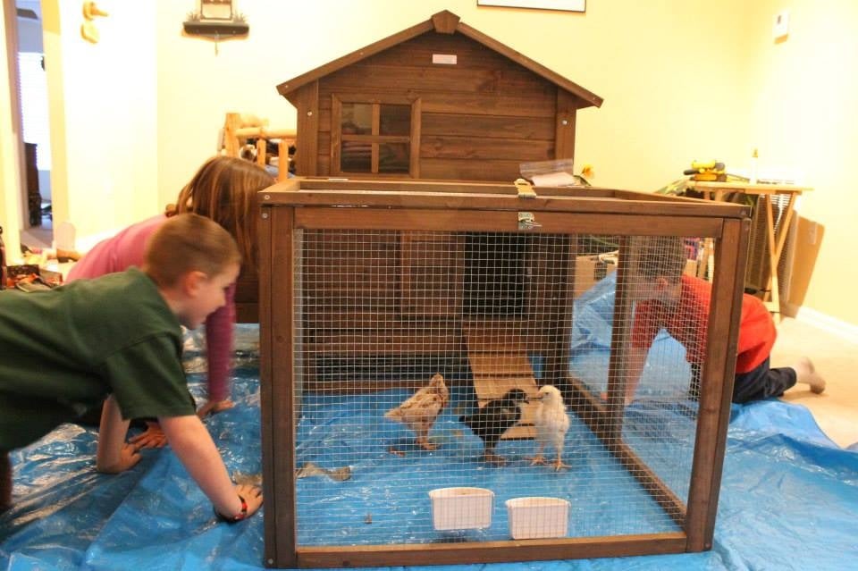 photo_r.jpg