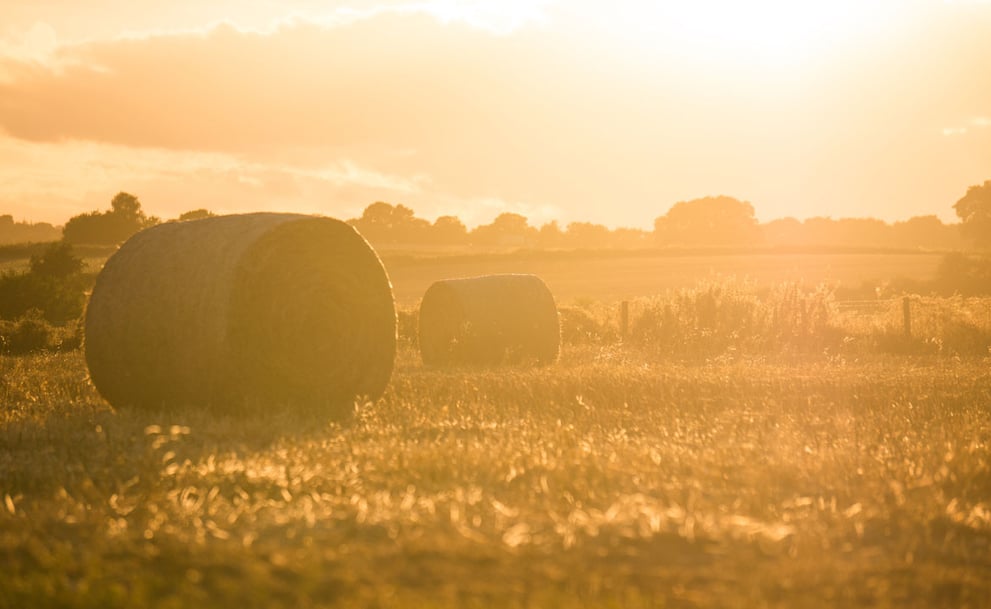 Hay Bales on a Small Farm 