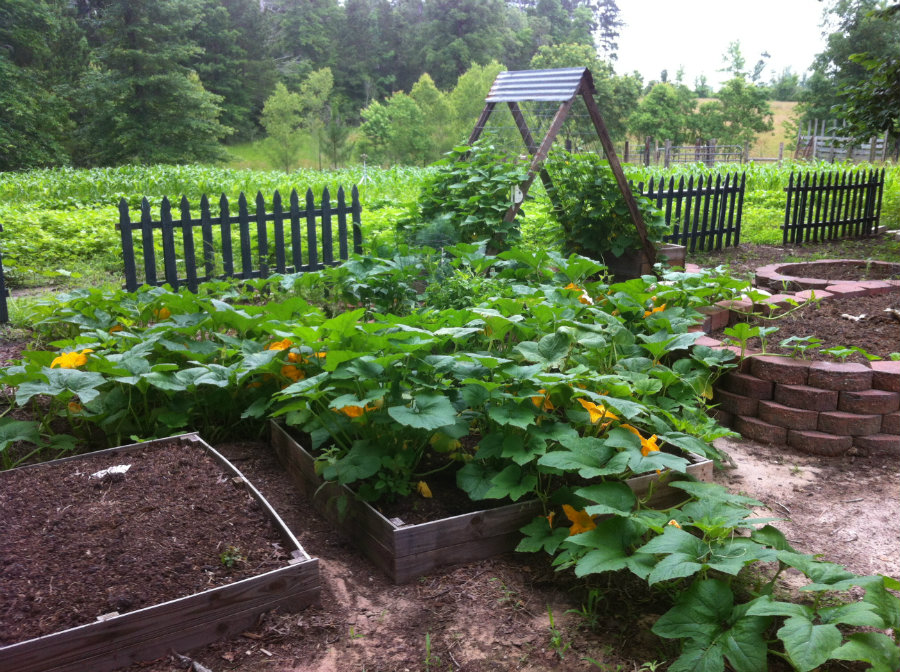 Hobby_Farm_Garden.jpg