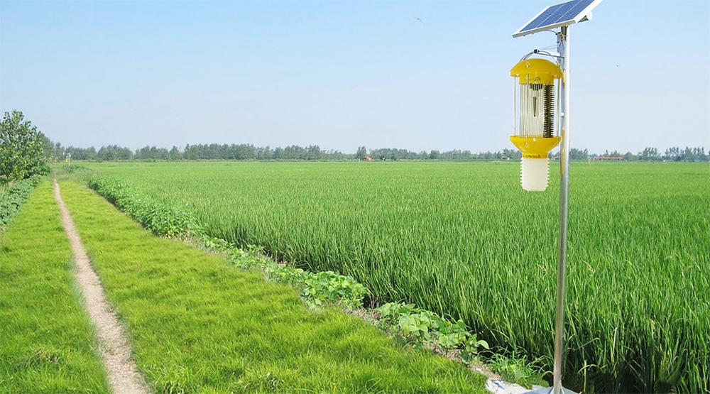 Organic_Solar_Power_Pest_Control.jpg