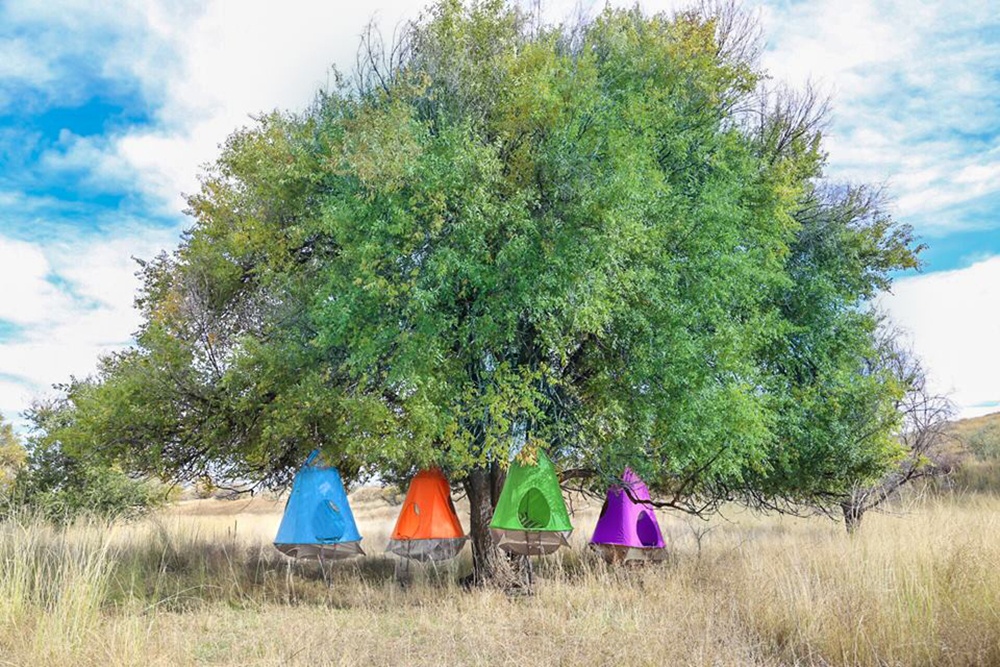 SM_TreePods_Hanging_from_Tree.jpg