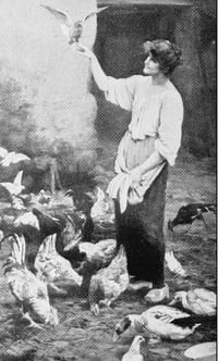 Homesteading Woman