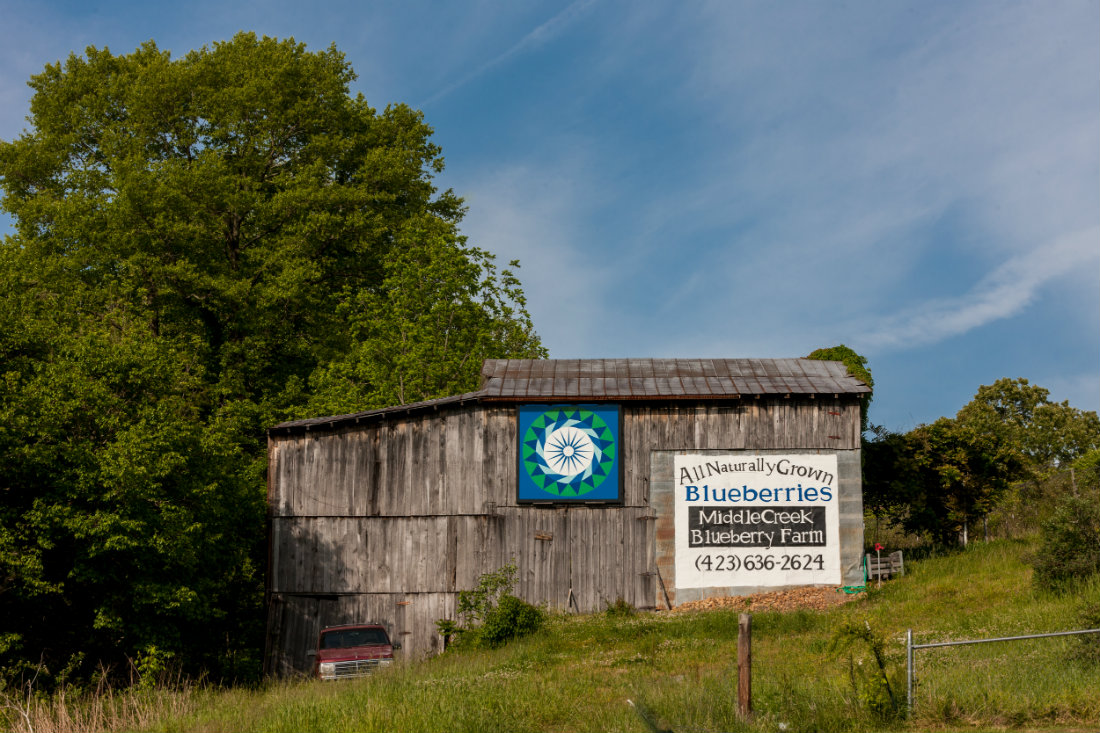 Blueberry_Farm_Quilt_Barn_1100.jpg