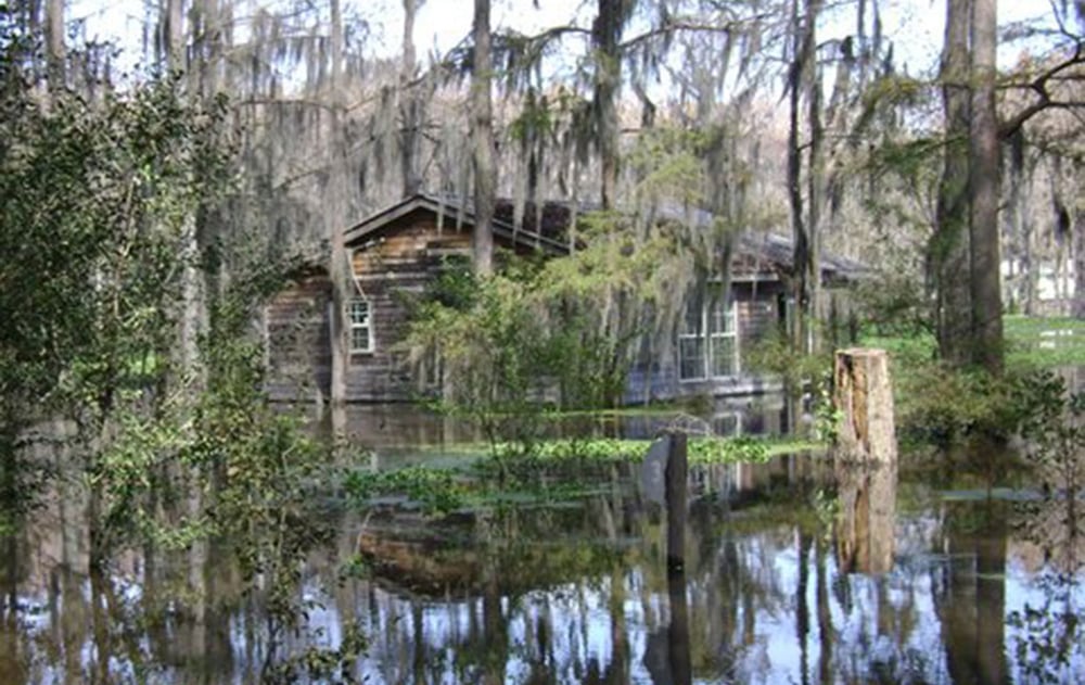 Caddo_Lake_Texas.jpg